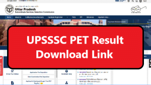 wordbook resource pet result solutions